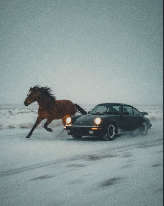 A dark-colored Porsche drives alongside a galloping brown horse through a snowy landscape, both moving at high speed under an overcast sky. The image evokes the chaotic, absurd, and high-speed energy of "BUTTHOLE FARTCOIN 2.0 LOADING," capturing a surreal ride of unbridled momentum.