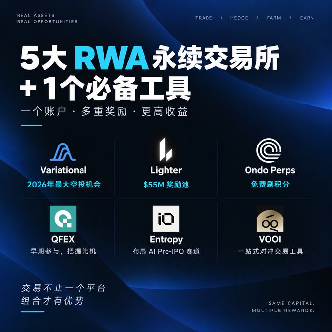 A promotional graphic in Chinese titled '5大RWA永续交易所 +1个必备工具' lists platforms including Variational, Lighter, Ondo Perps, QFEX, Entropy, and VOOI.