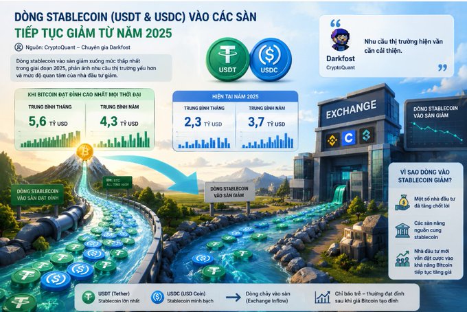 An infographic in Vietnamese titled 'DÒNG STABLECOIN (USDT & USDC) VÀO CÁC SÀN TIẾP TỤC GIẢM TỪ NĂM 2025,' showing declining exchange inflows for USDT and USDC stablecoins, sourced from CryptoQuant and quoted by Darkfost.