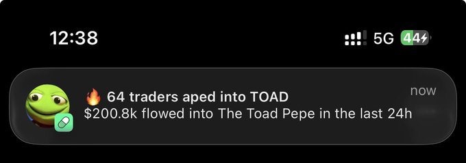 A smartphone notification at 12:38 reading '64 traders aped into TOAD - $200.8k flowed into The Toad Pepe in the last 24h' with a Pepe the Frog icon.