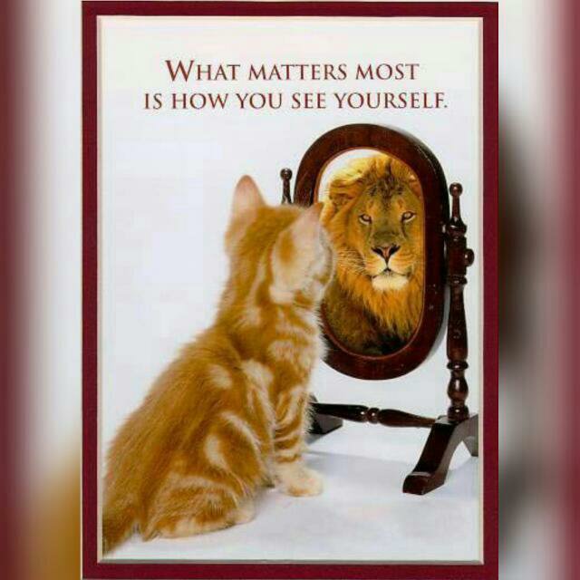 An inspirational poster showing an orange tabby kitten looking into a mirror and seeing a lion's reflection, with the text 'WHAT MATTERS MOST IS HOW YOU SEE YOURSELF.'