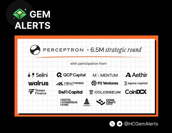 The image, branded with "GEM ALERTS" by @HCGemAlerts, announces that Perceptron Network raised $6.5M in a strategic round with participation from notable investors including QCP Capital, Aethir, Walrus, P2 Ventures, CoinDCX, DeFi Capital, and others. This supports the alert's overview of Perceptron Network, highlighting its credibility as a notable free gem for users to participate in via its Loyalty Event.