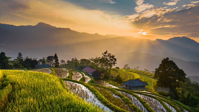Golden sunlight breaks over terraced rice paddies and distant mountains, evoking calm patience and the promise of a new cycle. Like a sunrise after a market pullback, the scene mirrors the post's reminder to plan through dips and steadily stack for what's ahead.