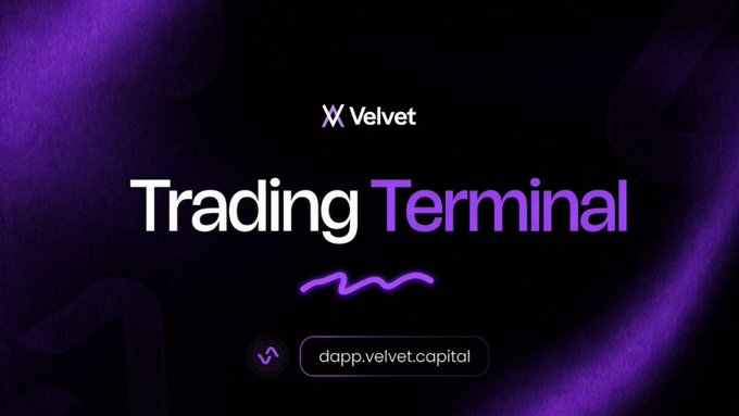 A promotional graphic for Velvet Capital's "Trading Terminal" with a dark purple background, featuring the URL "dapp.velvet.capital" and matching branding. The image aligns with the post's message about consolidating multiple trading tabs into one unified platform, positioning Velvet as the all-in-one solution the author discovered to simplify their fragmented crypto trading workflow.