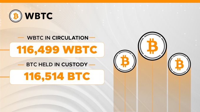 An infographic displays WBTC statistics showing 'WBTC IN CIRCULATION: 116,499 WBTC' and 'BTC HELD IN CUSTODY: 116,514 BTC' alongside three Bitcoin coin illustrations on orange bars.