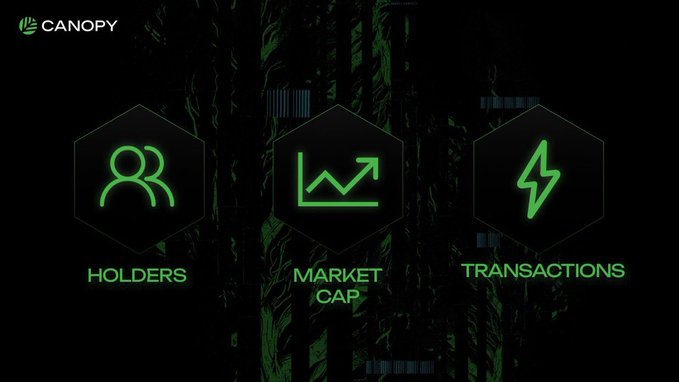 A dark green-themed graphic for Canopy featuring three hexagonal icons labeled 'HOLDERS', 'MARKET CAP', and 'TRANSACTIONS' against a forest backdrop.