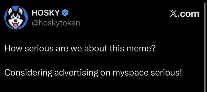A tweet from the verified HOSKY account (@hoskytoken) on X.com reading: 'How serious are we about this meme? Considering advertising on myspace serious!'