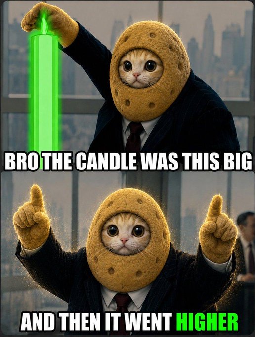 A two-panel meme featuring a cat wearing a cookie costume in a business suit. Top panel shows the cat holding a large green candle with text 'BRO THE CANDLE WAS THIS BIG'. Bottom panel shows the cat with hands raised and text 'AND THEN IT WENT HIGHER'.
