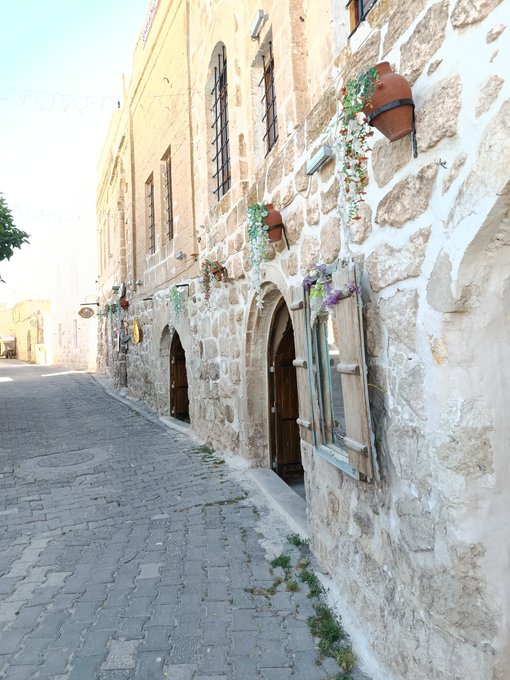 A narrow cobblestone street runs alongside an old stone building adorned with hanging flower pots and wooden doors, illuminated by warm sunlight.

The image evokes the ancient, storied atmosphere of a Mediterranean alleyway—fitting for "ANIMA," which derives from the Latin word for "soul" and suggests a place with deep historical roots, while contrasting with the modern digital question about ARCTERMINAL's loopring ("LB") status.
