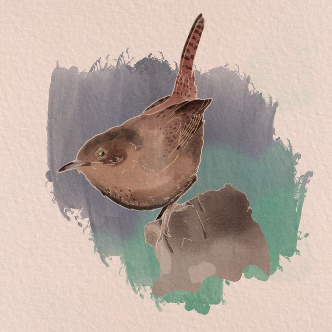A watercolor-style illustration of a small brown wren bird perched on a rock, set against an artistic background of blue and green brushstrokes.