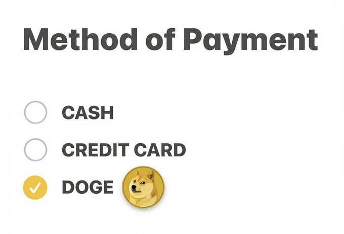 A 'Method of Payment' selection screen with Cash, Credit Card, and Doge options, with Doge selected alongside a Dogecoin emoji.