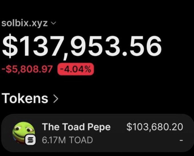 Mobile screenshot showing a cryptocurrency portfolio on solbix.xyz with a total value of $137,953.56, down $5,808.97 (-4.04%), with The Toad Pepe token valued at $103,680.20.
