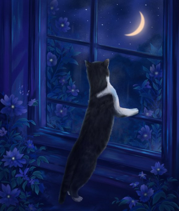 A black and white cat stands on its hind legs, gazing up at a crescent moon through a window framed by blue flowers, evoking the quiet, contemplative mood of the "Night watcher" edition. The artwork's serene nighttime scene visually captures the watchful, peaceful theme referenced in the post.