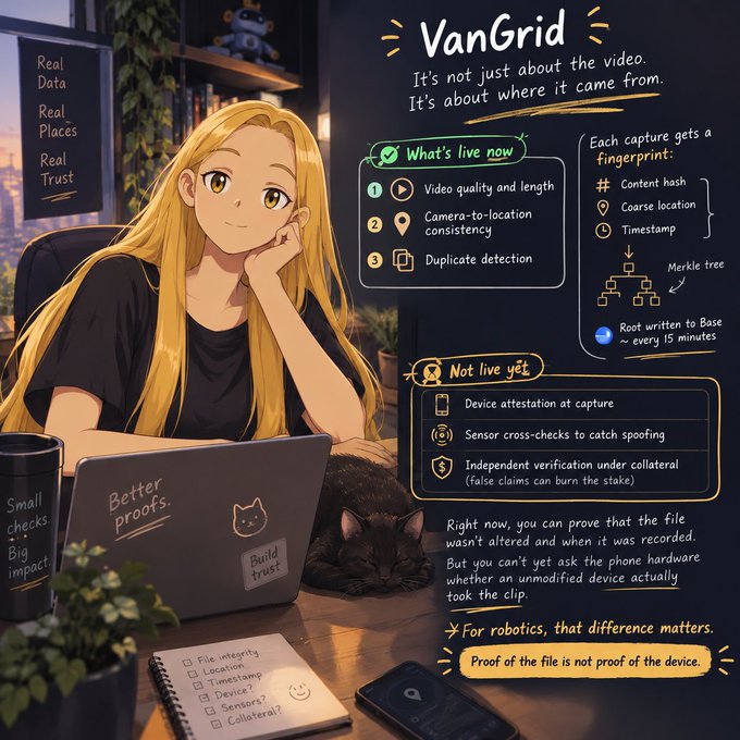 An illustrated infographic titled 'VanGrid' featuring an anime-style blonde woman at a laptop, explaining that video verification proves the file but not the device, with sections on 'What's live now' (video quality, location consistency, duplicate detection) and 'Not live yet' (device attestation, sensor cross-checks, collateral verification).