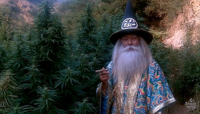 A man with a long white beard, wearing a black wizard hat and ornate blue and gold robes, holds a pipe while standing in front of cannabis plants, with a 'Smoking Wizard' logo in the corner.