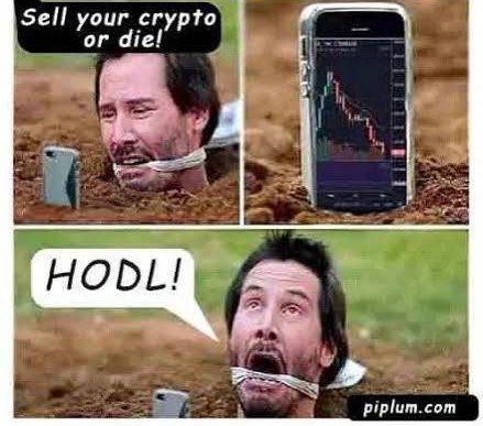 A four-panel meme features Nicolas Cage buried underground with a phone showing a falling crypto chart, captioned 'Sell your crypto or die!' and 'HODL!' with watermark 'piplum.com'.