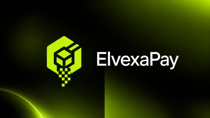 A green hexagonal logo featuring a pixelated cube design sits next to the white text 'ElvexaPay' against a dark green background.