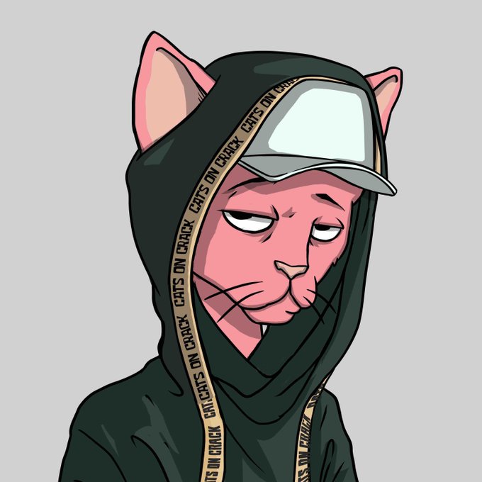 An anthropomorphic pink cat with a tired, downcast expression wears a dark green hoodie and a trucker cap, with yellow drawstrings repeatedly reading "CATS ON CRACK" down the hood. The image aligns with the post's "Web3 Girls" theme, presenting a melancholic, streetwear-styled feline character that contrasts with the confident "grail" and "queens" tone of the caption.