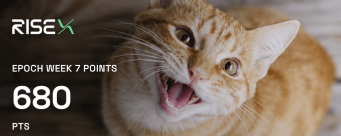 The image features an orange tabby cat with its mouth wide open in a dramatic meow or hiss, overlaid with RISEX branding and the text "EPOCH WEEK 7 POINTS 680 PTS" to celebrate the user's 680-point milestone on the RISEX trading platform this week. The cat's expressive "shouting" face humorously amplifies the post's excitement about hitting a new weekly high in points, OI, and trading volume across pairs like $BTC, $XAU, $HYPE, and $SOL.