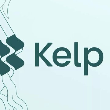 The image shows the Kelp logo with stylized kelp/knot illustrations in dark teal against a light blue background, displaying the word "Kelp" prominently. The logo serves as branding for KelpDAO, the company referenced in the accompanying post as the plaintiff in a lawsuit against LayerZero and CEO Bryan Pellegrino over the $292M rsETH bridge exploit.
