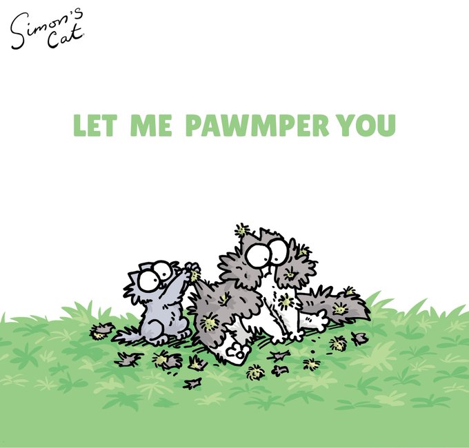 A 'Simon's Cat' illustration with the text 'LET ME PAWMPER YOU' showing three fluffy grey cats playing with yellow dandelions in green grass.