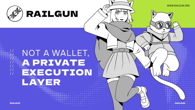 A promotional banner for RAILGUN features an anime-style illustration of a girl with cat ears beside a cat wearing sunglasses and a hoodie, with the tagline "NOT A WALLET, A PRIVATE EXECUTION LAYER" alongside the Railgun logo and website (www.railgun.org), reinforcing the post's message that Railgun is decentralized privacy infrastructure for Ethereum rather than a wallet.