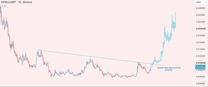 A 1-day Binance candlestick chart for PENGUUSDT shows the memecoin breaking out of a descending trendline near the $0.00112–$0.00114 area, with an annotation reading "break this downtrend and fly," supporting the post's bullish outlook on a potential major breakout following months of accumulation.