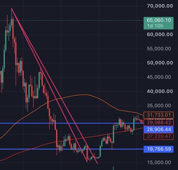 A cryptocurrency trading chart displays price levels including 65,060.10, 60,000, 55,000, 50,000, 45,000, 40,000, 35,000, 31,733.01, 30,088.42, 29,088.44, 27,220.47, and 19,766.59 with a descending trendline.