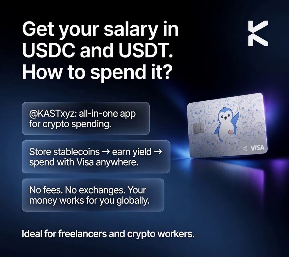 The image shows a credit card advertisement for Kastzyx, which is an app designed to help users convert their stablecoins into USDC or USDT currency. The text of the advertisement encourages users to "Get your Salary in USDC and USDT". It also provides information about how to use the app, including details on storing stablecoins, earning yield, spending with a Visa card, and turning stablecoins into everyday money.