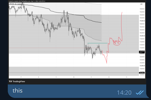 A Telegram-screenshot of a TradingView chart showing Bitcoin/US Dollar perpetual futures with the caption "this" sent at 14:20.