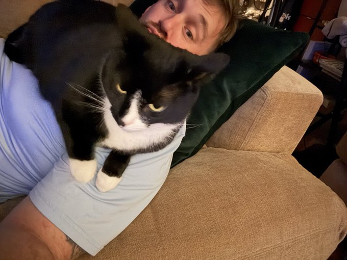 A tuxedo cat with distinctive white markings rests comfortably on a person wearing a light blue shirt, who is lying on a tan couch with green pillows.