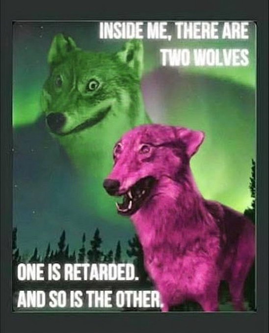 A green wolf and a pink wolf stand beneath a night sky with the text "INSIDE ME, THERE ARE TWO WOLVES" above and "ONE IS RETARDED. AND SO IS THE OTHER." below.

This absurd "two wolves" meme fits the post's contest theme, using darkly comedic text featuring two wolves to riff on the requested $PACK meme competition.