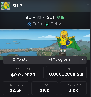 A token information page for SUIPI on the Sui network via Cetus, showing a price of $0.04328 USD, liquidity of $9.5K, FDV of $16K, and market cap of $16K.