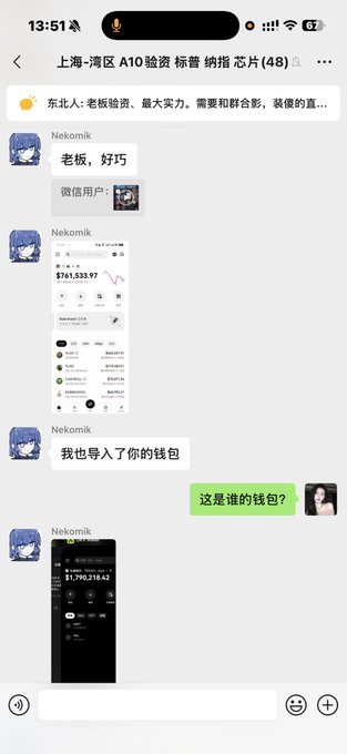 The image shows a WeChat group chat titled "上海-湾区 A10 验资 标普 纳指 芯片(48)" where user "Nekomik" shares screenshots of imported crypto wallets ($741,533.97 and $1,790,218.42) claiming "老板 好巧" (Boss, what a coincidence) and "我也导入了你的钱包" (I imported your wallet too), while the user replies "这是谁的钱包?" (Whose wallet is this?).

This screenshot illustrates the post's tip about deceptive tactics at A8/A9 asset-verification mixers—showing how someone can pull up an imported whale's wallet on their own phone to falsely appear wealthy or well-connected to an unsuspecting target.