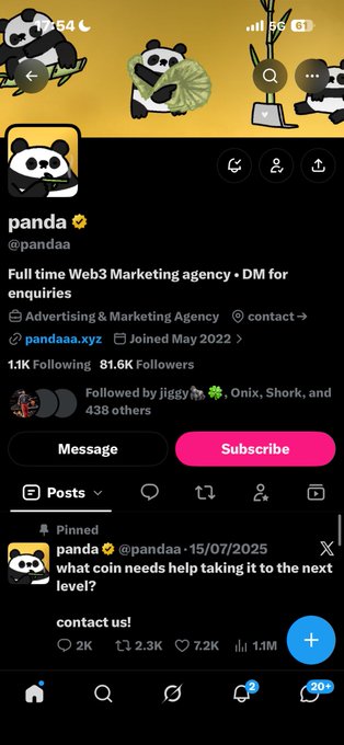 A Twitter/X profile page for 'panda' (@pandaa), described as a 'Full time Web3 Marketing agency', with a pinned post asking what coin needs help taking it to the next level.