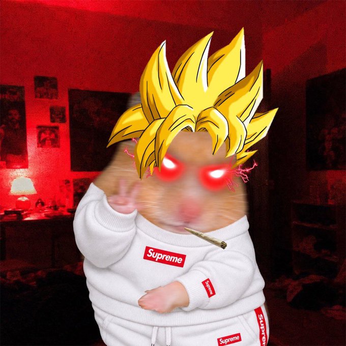 A hamster edited to look like a Super Saiyan with glowing red eyes, wearing a white Supreme tracksuit, posing in a red-lit room — the image is used as a promotional graphic for a CashHamster giveaway, with the "Supreme" branding playfully reinforcing the "drop wallet" call-to-action in the post.