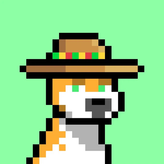 Pixel art of a character wearing an orange and black sombrero and poncho, resembling a stylized orange and white cat or dog, on a light green background.