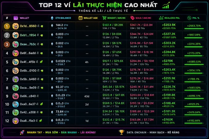 A leaderboard table titled 'TOP 12 VÍ LÃI THỰC HIỆN CAO NHẤT' displaying crypto wallet statistics including ETH Balance, Wallet Age, Bought, Sold, Realized PNL, and PNL percentages.
