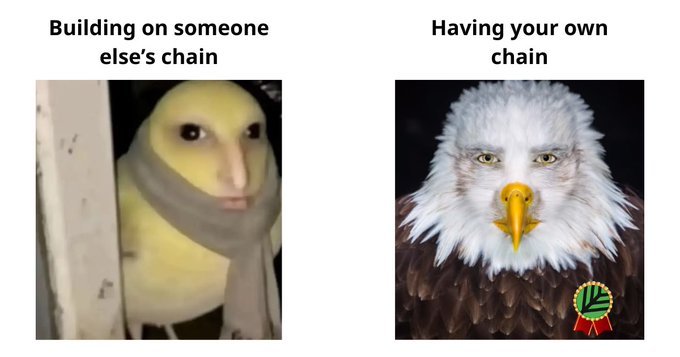 A comparison meme contrasts 'Building on someone else's chain' (depicted by a duck in a scarf) with 'Having your own chain' (depicted by a bald eagle).