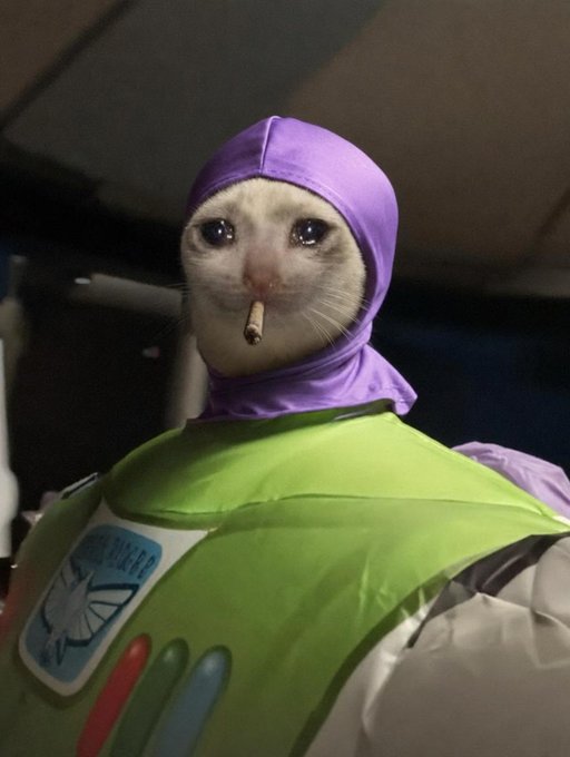A cat wearing a purple bodysuit and a Buzz Lightyear costume holds a cigarette in its mouth, evoking the rugged, irreverent "Big V" persona referenced in the post. The "SPACE RANGER" text on the chest patch and the smoke-like cigarette humorously tie into the celebratory tone of someone cashing out 700K as the token prepares to list on spot.
