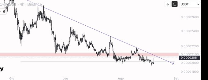 A 4-hour candlestick chart of the FLOKI/USDT trading pair on Binance shows the price testing a descending trendline resistance near the highlighted red supply zone around 0.00002061, aligning with the post's focus on this key resistance level for a potential breakout.
