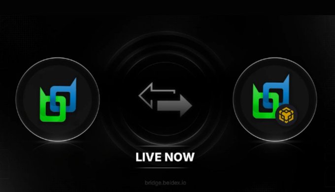 A dark graphic shows a bridging icon between two identical green-and-blue interlocking symbols, with the right one containing a yellow BNB coin logo and 'LIVE NOW' text below.