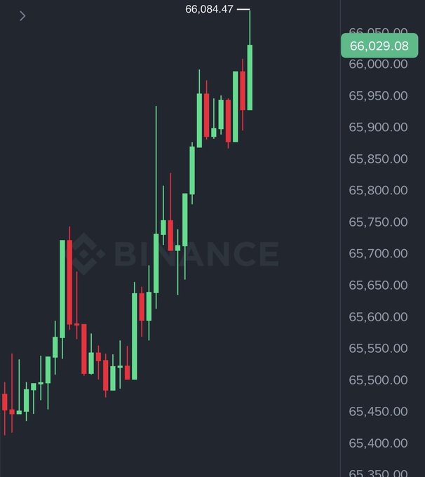 A Binance candlestick chart displays Bitcoin's price climbing to a high of $66,084.47, with the current price marked at $66,029.08, illustrating the asset's surge above the $66,000 milestone.