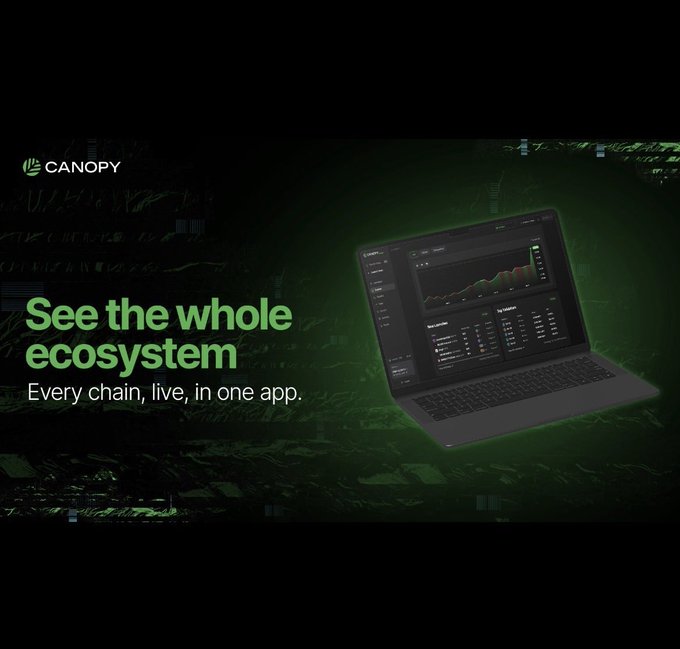 The image is a promotional graphic for **Canopy**, featuring the headline "See the whole ecosystem" and tagline "Every chain, live, in one app." It displays a laptop showcasing a dark-themed analytics dashboard with charts and data tables against a green-tinted jungle canopy background, visually reinforcing the post's theme of overcoming the limitations of building on shared L1/L2s or struggling with the cold-start challenges of sovereign appchains by offering unified visibility across chains.