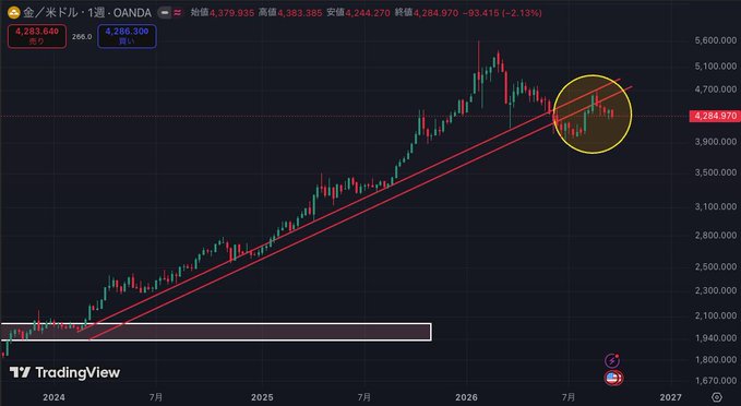 A TradingView candlestick chart for 金/米ドル (Gold/USD) on OANDA showing a long-term uptrend with red ascending channel lines, highlighting a recent circled consolidation pattern near 4,264.97.