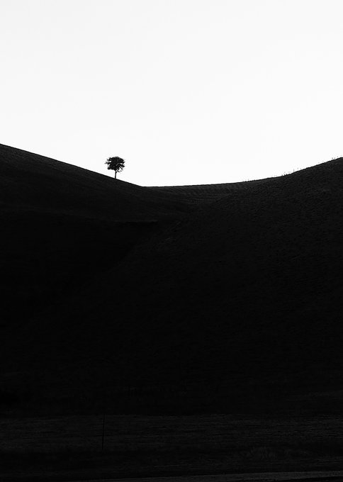 A minimalist black and white photograph of a lone tree silhouetted against a bright sky, standing on a dark, curving grassy hill.