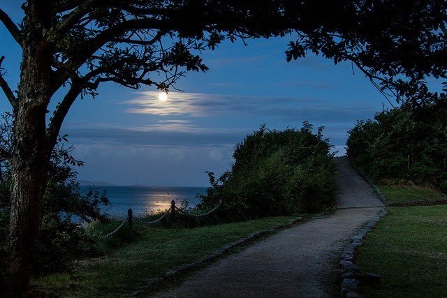A nighttime landscape featuring a pathway, trees, and a bright moon over a calm ocean.
