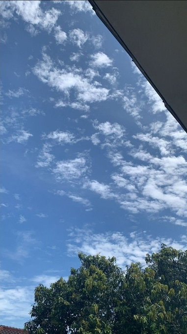 A bright blue sky dotted with scattered white clouds stretches above lush green treetops, framed by the edge of a roof, evoking a sense of calm and clarity that reinforces the message to "GM, Stick to the plan." The open, unobstructed view suggests steady focus and forward momentum, much like the determination needed to follow through on a solid plan.