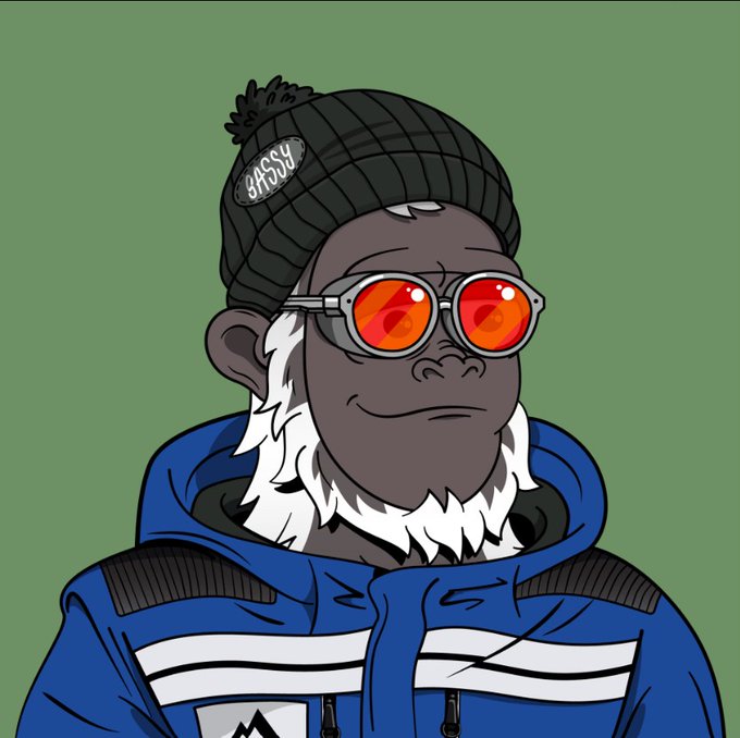 A digital illustration of a cartoon chimpanzee wearing a dark beanie with a 'SASSY' patch, red-tinted round sunglasses, and a blue hooded jacket with white stripes.