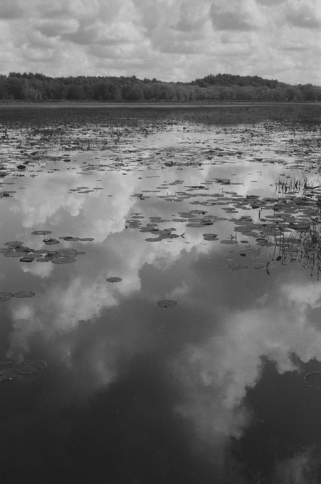 A serene black and white photograph captures a tranquil lake dotted with lily pads, their reflections mirroring the dramatic cloudy sky above, with a distant tree-lined shore framing the horizon. The image's timeless, analog quality—evident in its rich tonal range and classic composition—beautifully complements the post's announcement of a film photography giveaway, offering viewers a glimpse of the 35mm artistry they'll have a chance to own.
